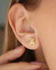 TOPO OSITO GOLD 5405 OrolaminadoLuxus
